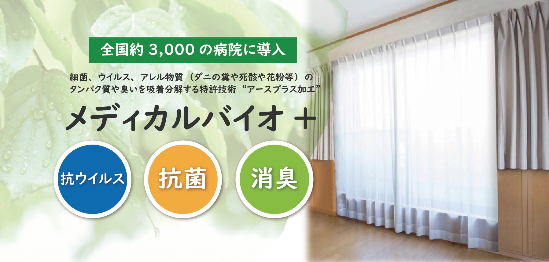 メディカルバイオ+　株式会社ヴェラーノ